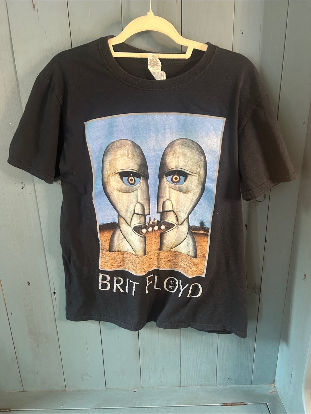 Vintage Gildan Black Brit Floyd Graphic Tee with Blue and Tan Artwork | Large